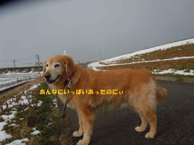 f0114128_1183178.jpg