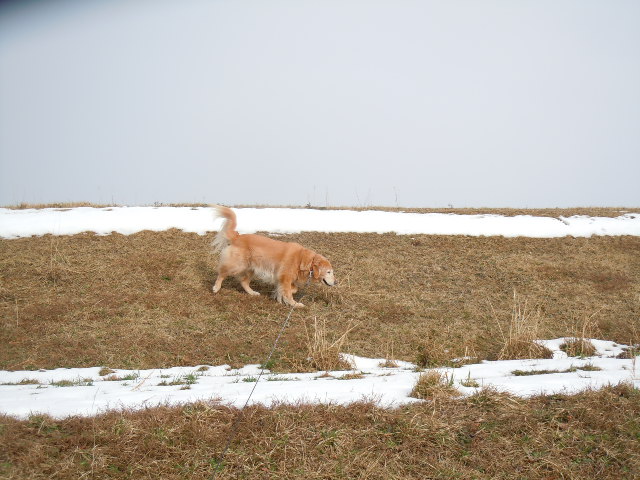 f0114128_1191597.jpg