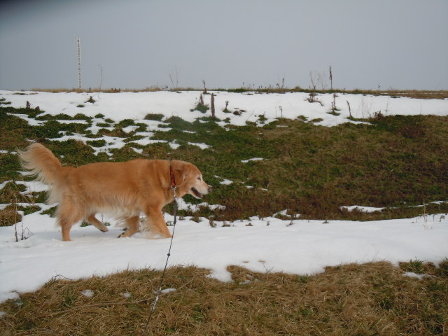 f0114128_119233.jpg