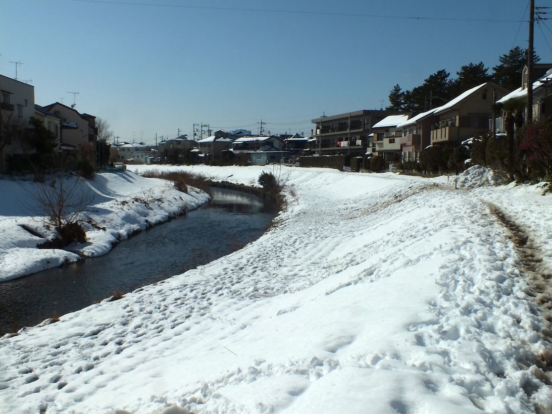 雪晴れの午後_d0242629_9511785.jpg