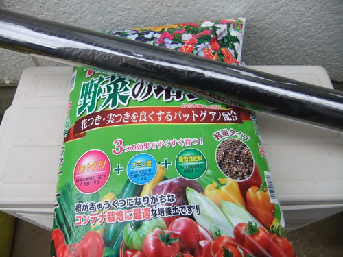 積雪ですが...春野菜の準備を開始!_b0137932_2349941.jpg