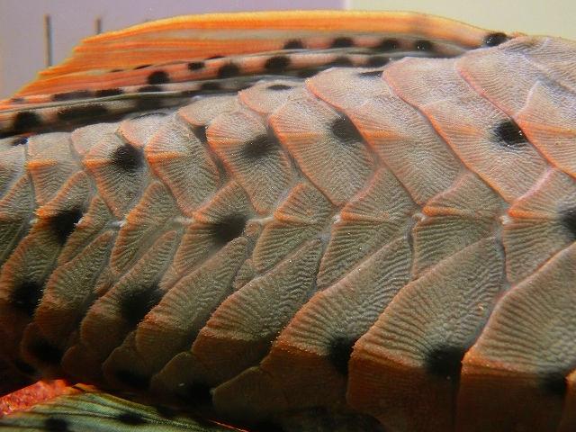 f0304633_14554720.jpg