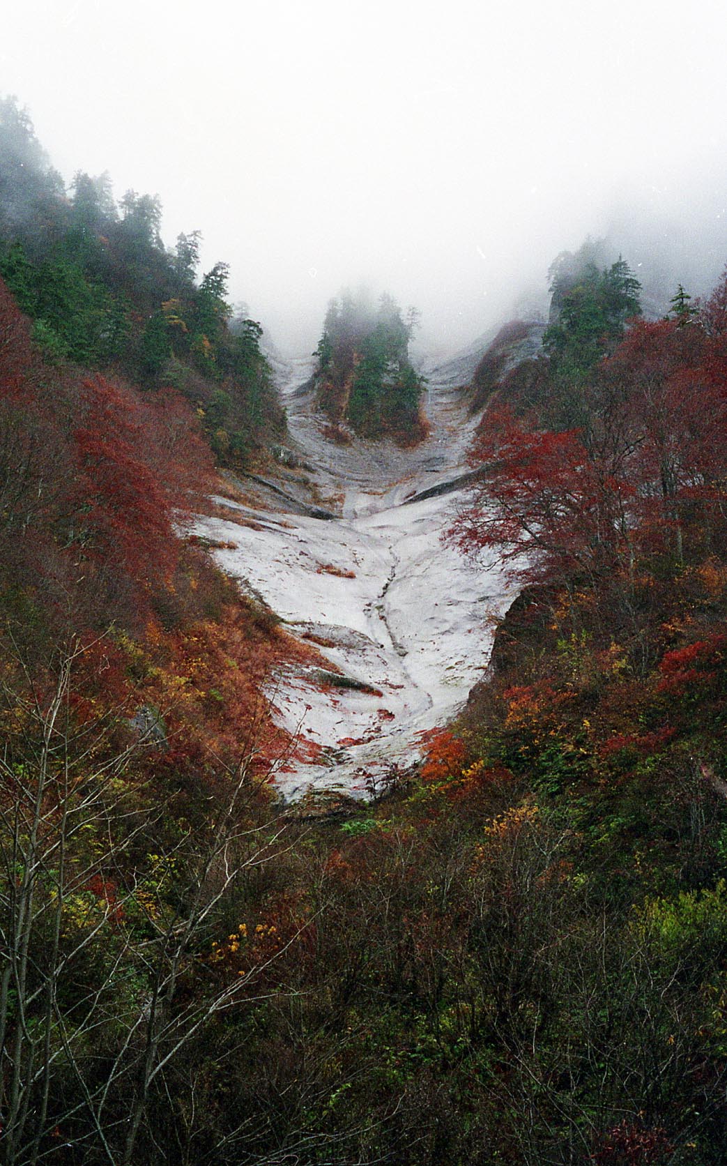 d0237340_20141259.jpg