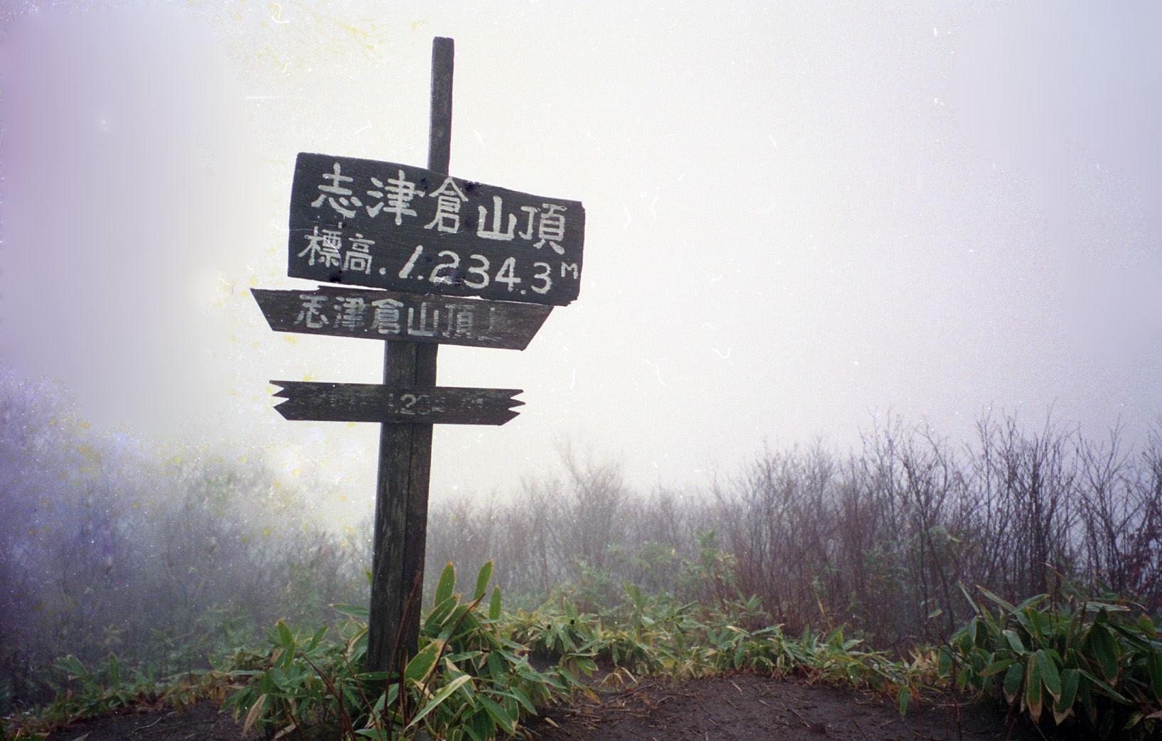 d0237340_2022114.jpg