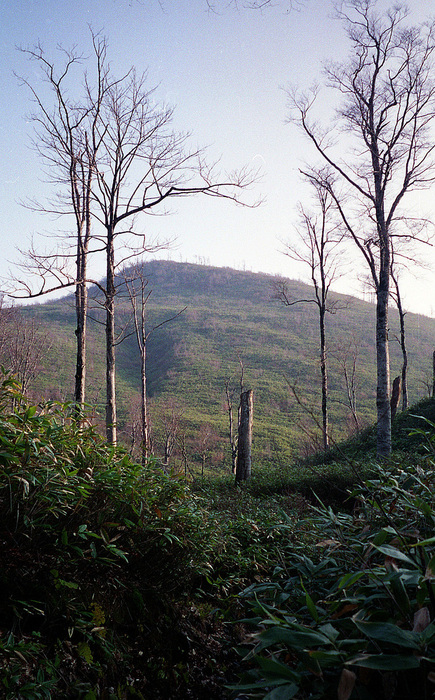 d0237340_21164992.jpg