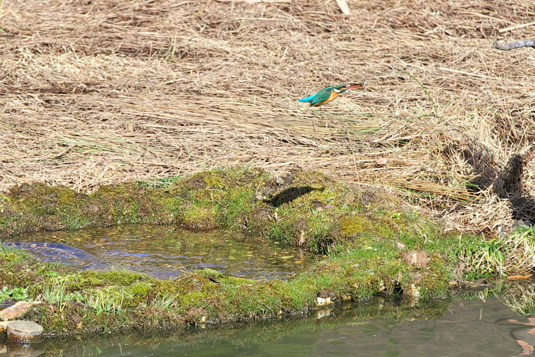 蘇原自然公園_d0322645_21152224.jpg