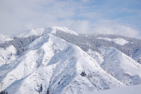 雪の里山　魚沼　大力山_b0189948_19252313.jpg