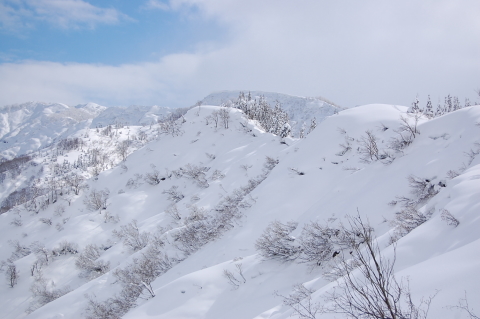 雪の里山　魚沼　大力山_b0189948_19274617.jpg