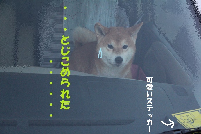 f0245650_09501574.jpg