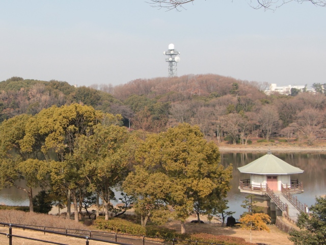 e0017051_959377.jpg