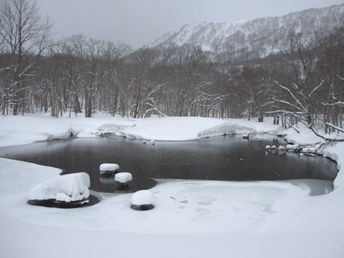 c0294658_20473431.jpg