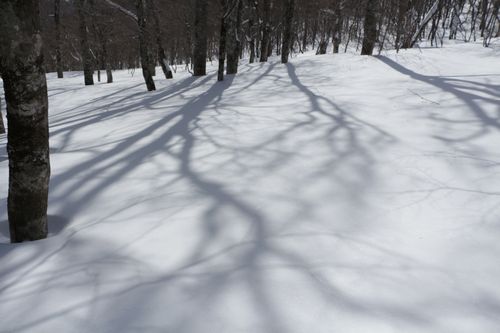 c0294658_20474673.jpg