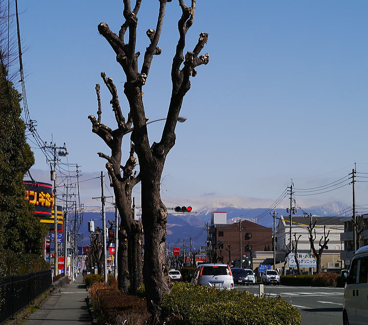 雪化粧_f0178858_16524835.jpg