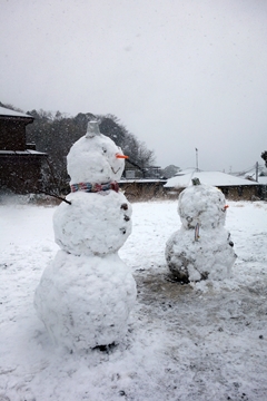 大雪_e0194060_16212269.jpg