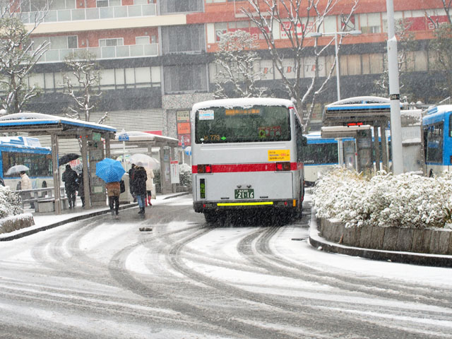 ■140208 雪の景色_c0130964_16401852.jpg