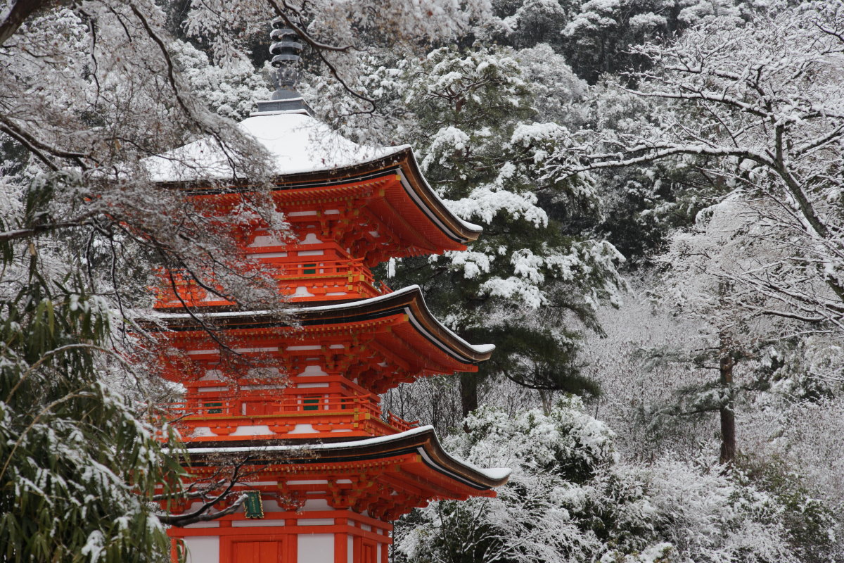 雪景色 2014 <清水寺>　　　　　　　　　　　　　　　　　　　　　　　　_f0021869_23443382.jpg