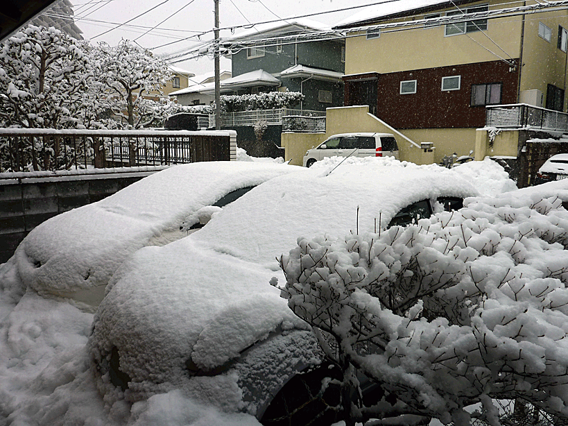 a0238278_1854514.gif