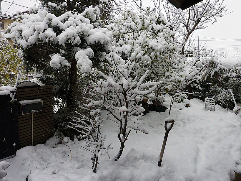 a0238278_1855403.gif