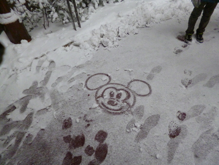 雪の日ディズニー14 跡見学園女子大学ディズニー研究会 雪の日ディズニー14 跡見学園女子大学ディズニー研究会
