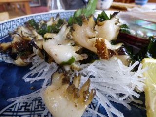 2014年2月11日 初島へ_b0098584_9194331.jpg