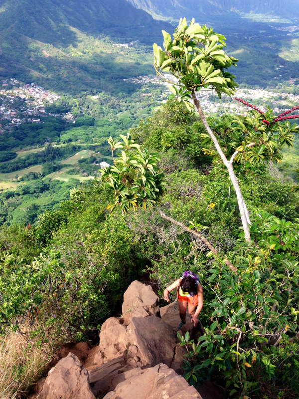 2014/01/21 Mountain Running Trip in Oahu of Hawaii Day.5 Olomana Trail_b0220886_0104633.jpg