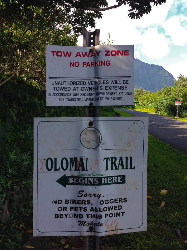 2014/01/21 Mountain Running Trip in Oahu of Hawaii Day.5 Olomana Trail_b0220886_01302.jpg
