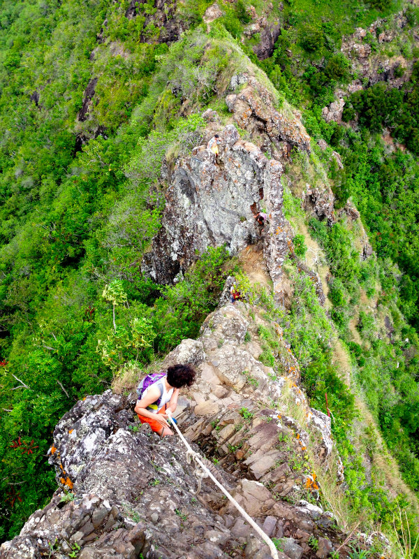 2014/01/21 Mountain Running Trip in Oahu of Hawaii Day.5 Olomana Trail_b0220886_0162750.jpg