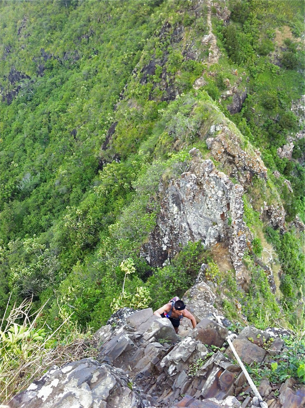 2014/01/21 Mountain Running Trip in Oahu of Hawaii Day.5 Olomana Trail_b0220886_017543.jpg