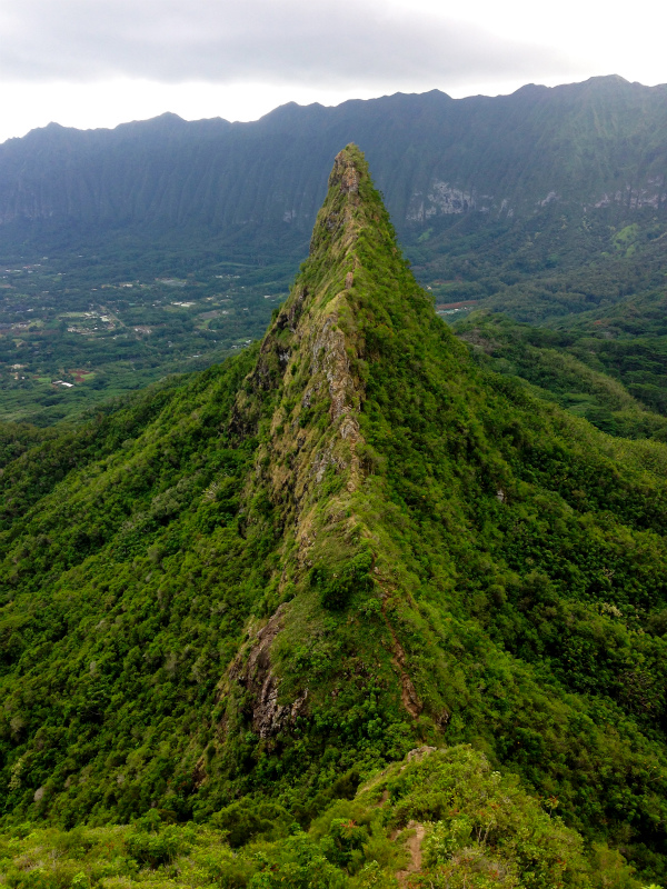 2014/01/21 Mountain Running Trip in Oahu of Hawaii Day.5 Olomana Trail_b0220886_017945.jpg