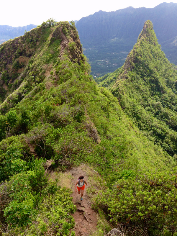 2014/01/21 Mountain Running Trip in Oahu of Hawaii Day.5 Olomana Trail_b0220886_0231182.jpg