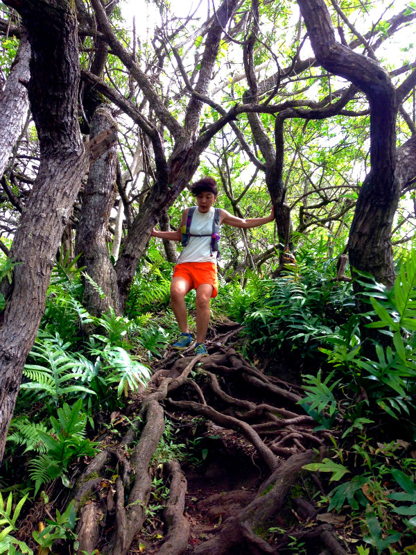 2014/01/21 Mountain Running Trip in Oahu of Hawaii Day.5 Olomana Trail_b0220886_0233176.jpg