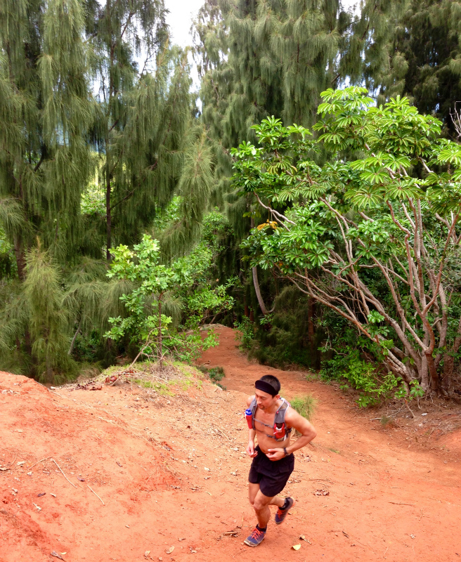 2014/01/21 Mountain Running Trip in Oahu of Hawaii Day.5 Olomana Trail_b0220886_0234197.jpg
