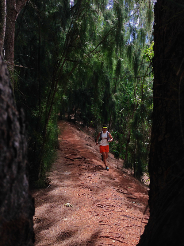 2014/01/21 Mountain Running Trip in Oahu of Hawaii Day.5 Olomana Trail_b0220886_0235264.jpg