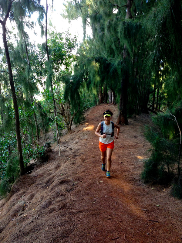 2014/01/21 Mountain Running Trip in Oahu of Hawaii Day.5 Olomana Trail_b0220886_073146.jpg