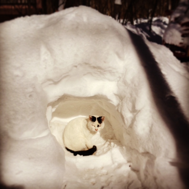 大雪。_d0028589_23434130.jpg