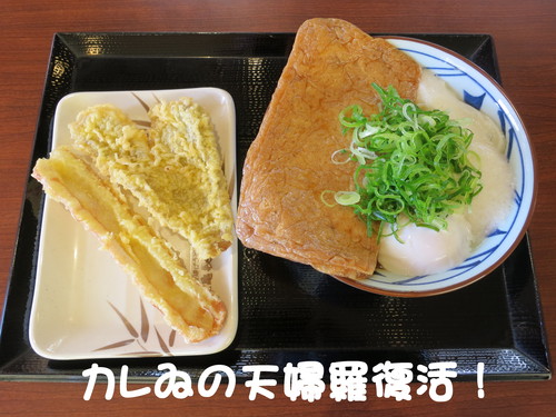 起きた時点で疲れがピーク！_b0200291_1872441.jpg