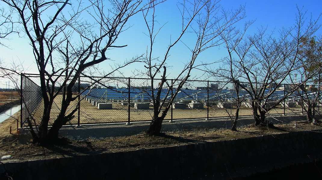 a0152692_22323136.jpg