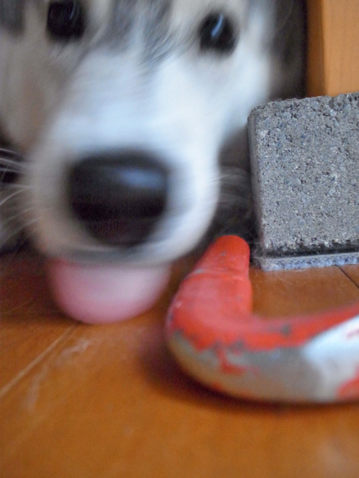 c0049299_22143379.jpg