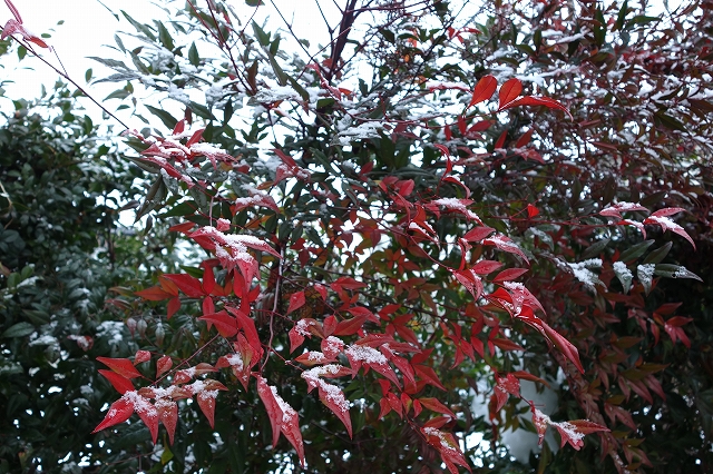 b0147203_2193553.jpg