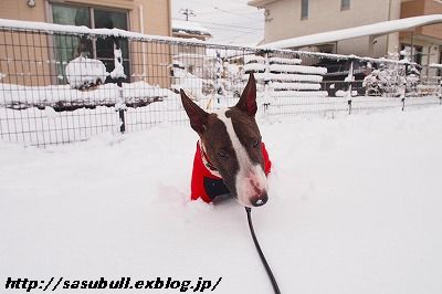 大雪の翌日_e0145805_19145560.jpg