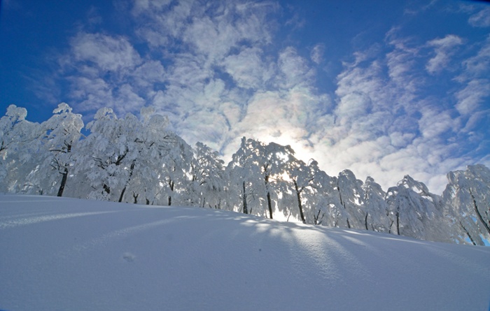 2月11日（祝）六日町八海山スキー場_d0252510_1275222.jpg