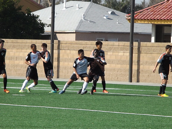 a0144811_728890.jpg