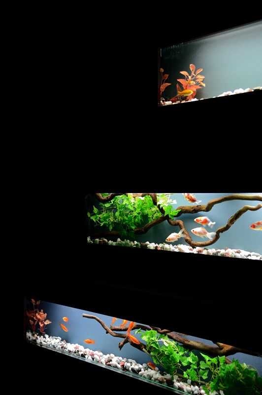 アートアクアリウム展 ~大阪・金魚の艶~ 其の一_f0032011_19401635.jpg
