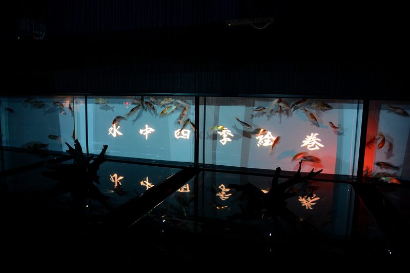 アートアクアリウム展 ~大阪・金魚の艶~ 其の一_f0032011_19403785.jpg
