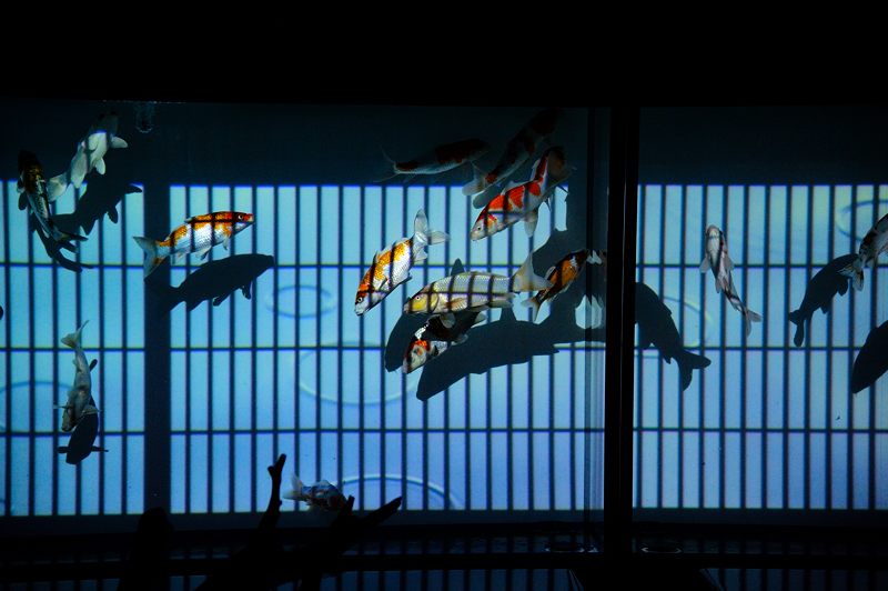 アートアクアリウム展 ~大阪・金魚の艶~ 其の一_f0032011_19412266.jpg