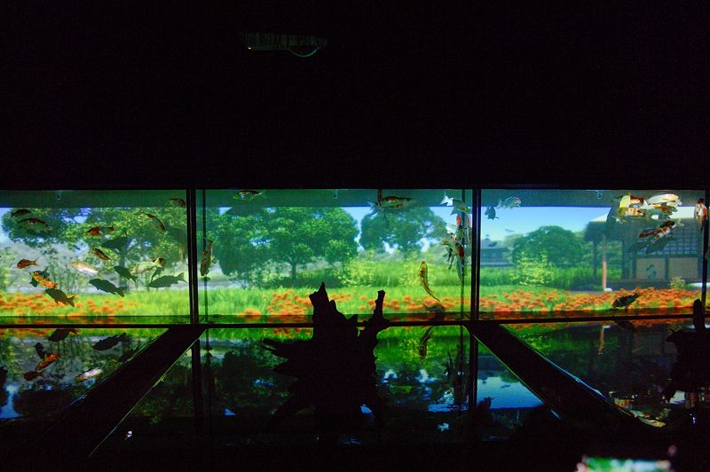 アートアクアリウム展 ~大阪・金魚の艶~ 其の一_f0032011_1941349.jpg