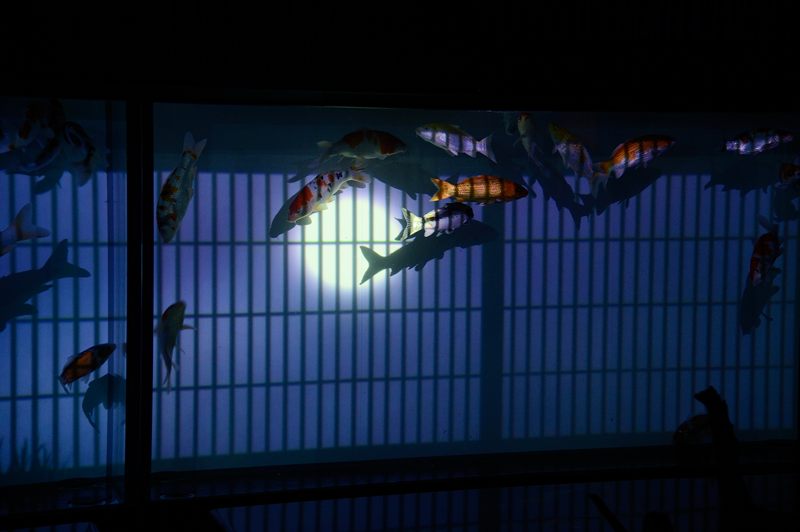 アートアクアリウム展 ~大阪・金魚の艶~ 其の一_f0032011_19421833.jpg