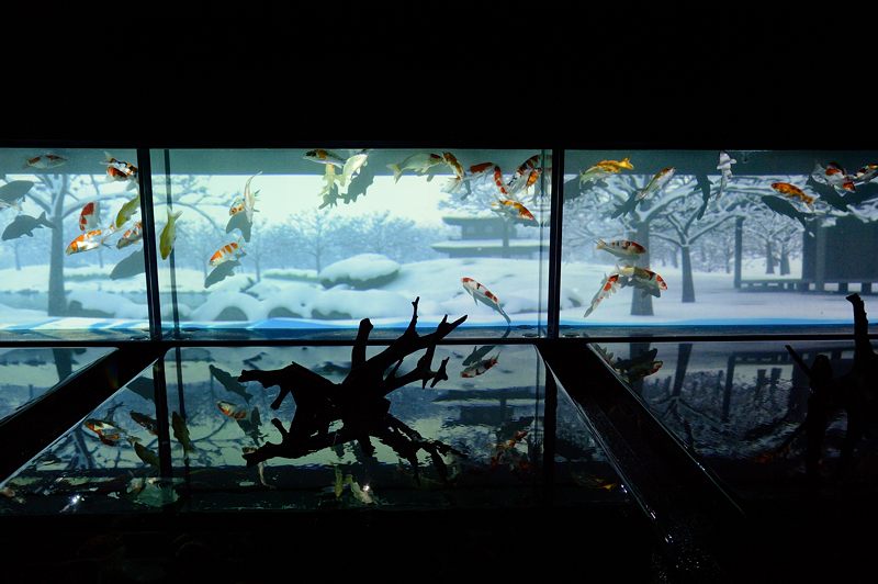 アートアクアリウム展 ~大阪・金魚の艶~ 其の一_f0032011_19424377.jpg