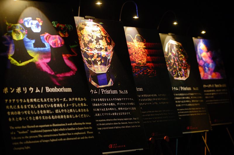 アートアクアリウム展 ~大阪・金魚の艶~ 其の一_f0032011_19442084.jpg