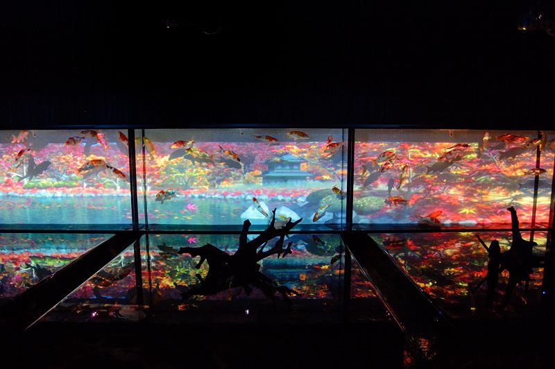 アートアクアリウム展 ~大阪・金魚の艶~ 其の一_f0032011_19571268.jpg